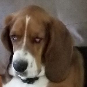 Meet your Posher, Candice